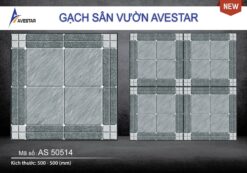 Gạch lát sân vườn cao cấp AS 50514